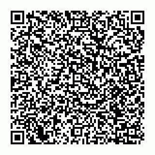 vCard 74951019035