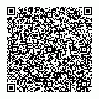 vCard 74951031339