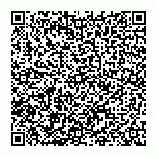 vCard 74951034985
