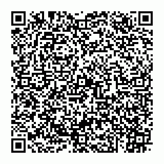 vCard 74951040035