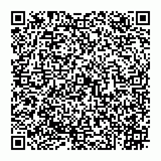 vCard 74951040079