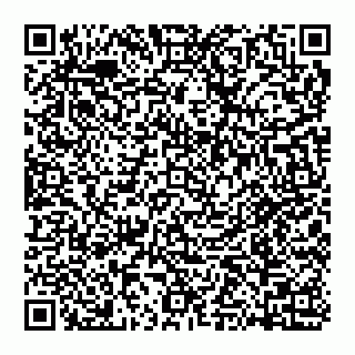 vCard 74951040153