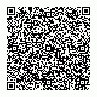 vCard 74951040267