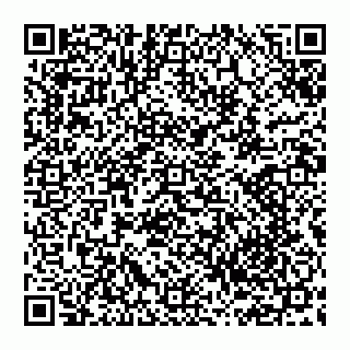 vCard 74951040287