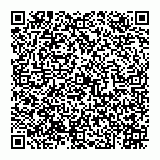 vCard 74951040299