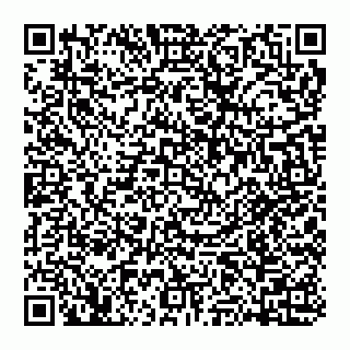 vCard 74951040313