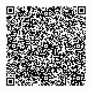vCard 74951040329
