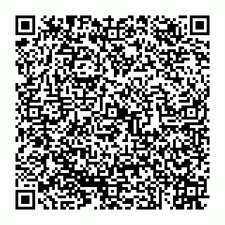 vCard 74951040333
