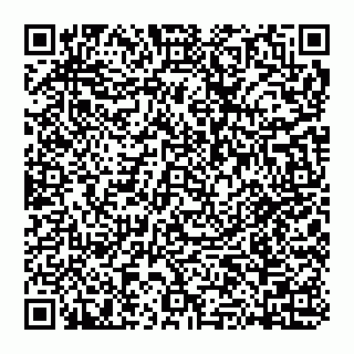 vCard 74951040373