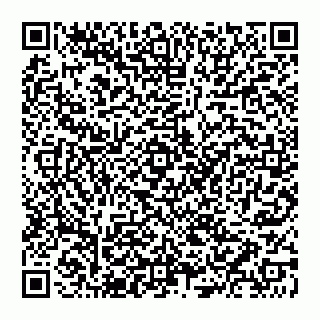 vCard 74951040379