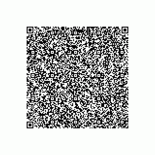 vCard 74951060411