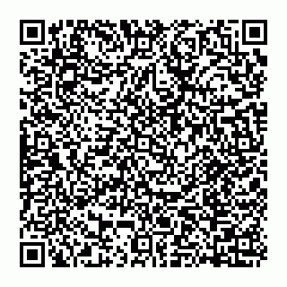 vCard 74951063031