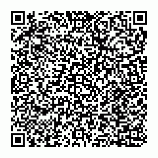 vCard 74951080311