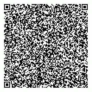 vCard 74951080313