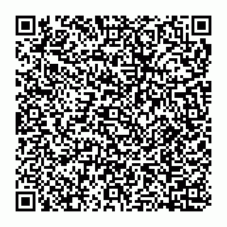 vCard 74951080318