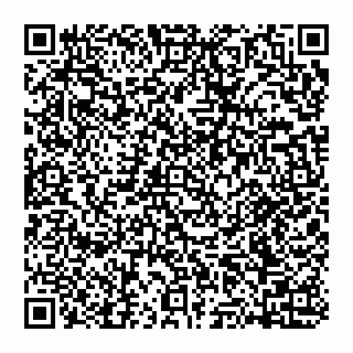 vCard 74951081327