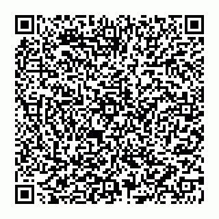 vCard 74951081329