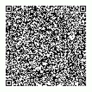vCard 74951081827