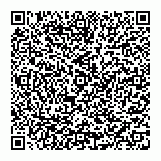 vCard 74951085839