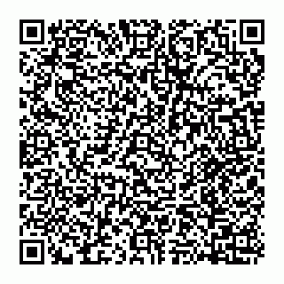 vCard 74951089003