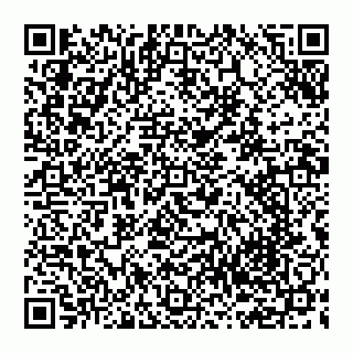 vCard 74951089313