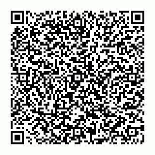 vCard 74951089334