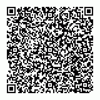 vCard 74951089335