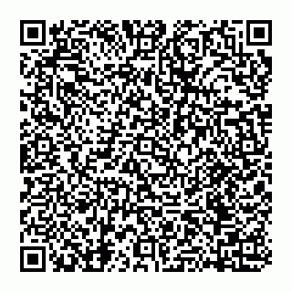 vCard 74951089385