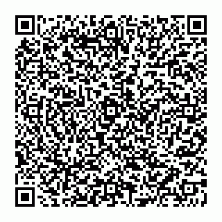 vCard 74951089399
