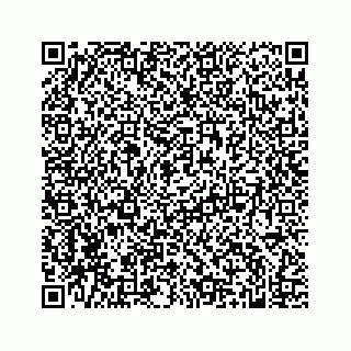 vCard 74951089923