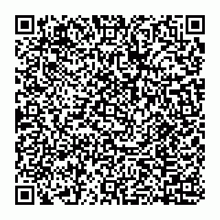vCard 74951114339