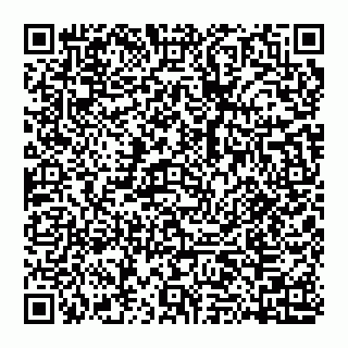 vCard 74951119539