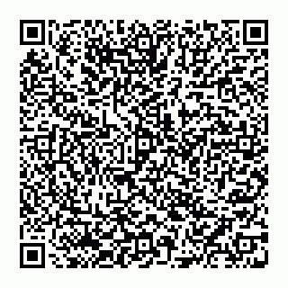 vCard 74951119875