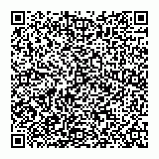 vCard 74951119909