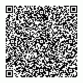 vCard 74951146029