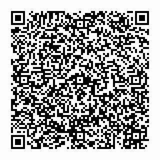 vCard 74951152729