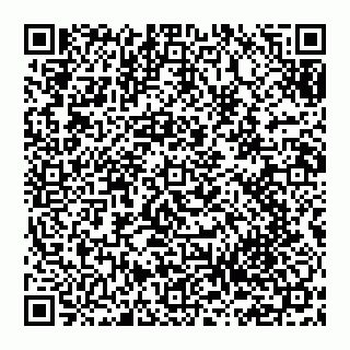 vCard 74951153541