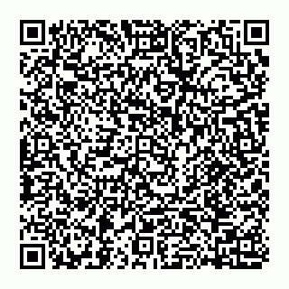vCard 74951153554