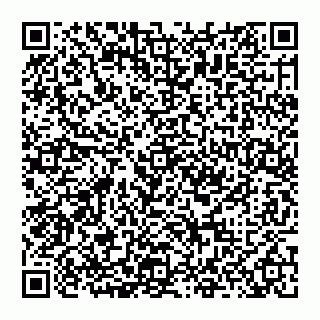 vCard 74951153581