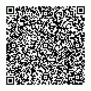 vCard 74951153587