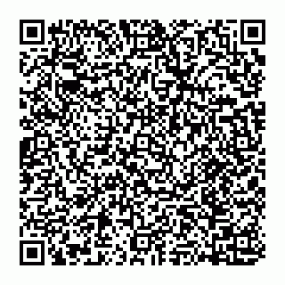 vCard 74951153724