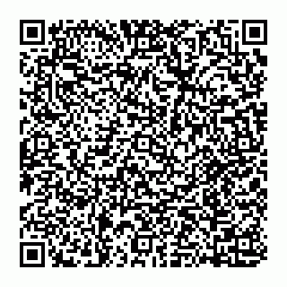 vCard 74951153743