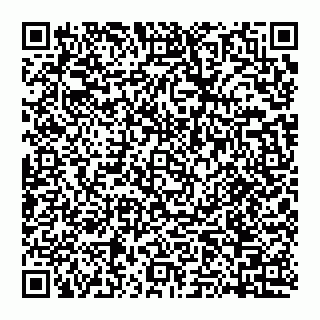 vCard 74951153924