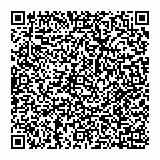 vCard 74951155133