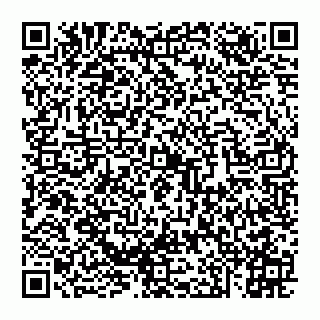 vCard 74951155779