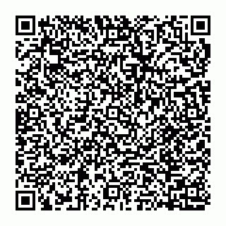 vCard 74951158531