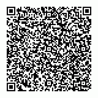 vCard 74951159331