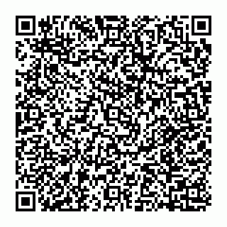vCard 74951171403