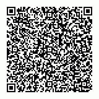 vCard 74951171739