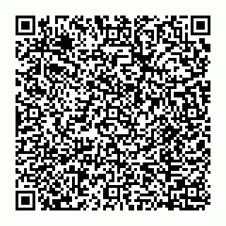 vCard 74951173419